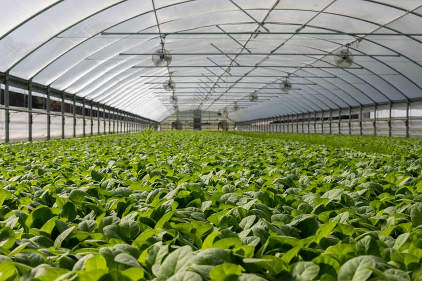 Agricultura de precisión